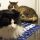 Max e Maya