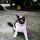 Stellina