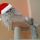 Buone Feste da Romeo!
