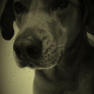 Teo - Vintage