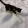 Felix e la neve