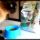 Purina® Cat Chow® Sterilised