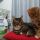 Rudy e Pascal