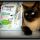 Occhi vispi, pelo lucido e morbido. Il mio Leo più sano e più bello con Purina® Cat Chow® Sterilised