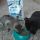 Purina Cat Chow è una vera delizia