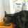 Ken apprezza i suoi Cat Chow
