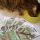 Bella e Cat Chow