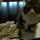 Maya e i buoni sconto 'Cat Chow'