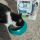 Zorro e Purina Cat Chow
