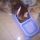 anastasia & purina cat chow sterilized