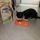 L'ora della pappa con Purina Cat Chow!