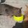 Nerone mangia