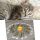 Purina cat chow