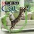 Purina® Cat Chow®, per gatti naturalmente straordinari!