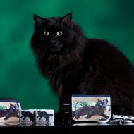 Se volete sostenere il gattile che aiuto tramite la vendita dei miei gadget...acquistatene uno...basta poco alle volte... 