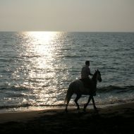 Una spiaggia, un tramonto ed un cavallo...