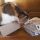 Grazie Purina!