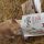 Picio con gli assaggi Purina Beyond