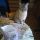 prissy in attesa