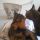 romeo e mietta