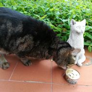 Vabbè, io provo a vedere se riesco ad assaggiarla senza il tuo aiuto.