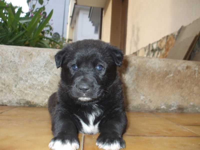 Cerco una casa in cui crescere felice