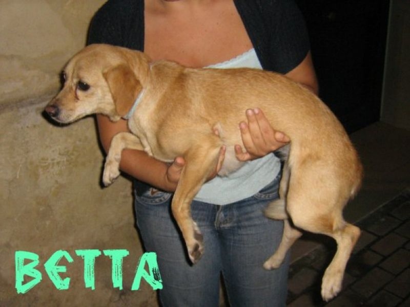 Aiutiamo la piccola Betta!