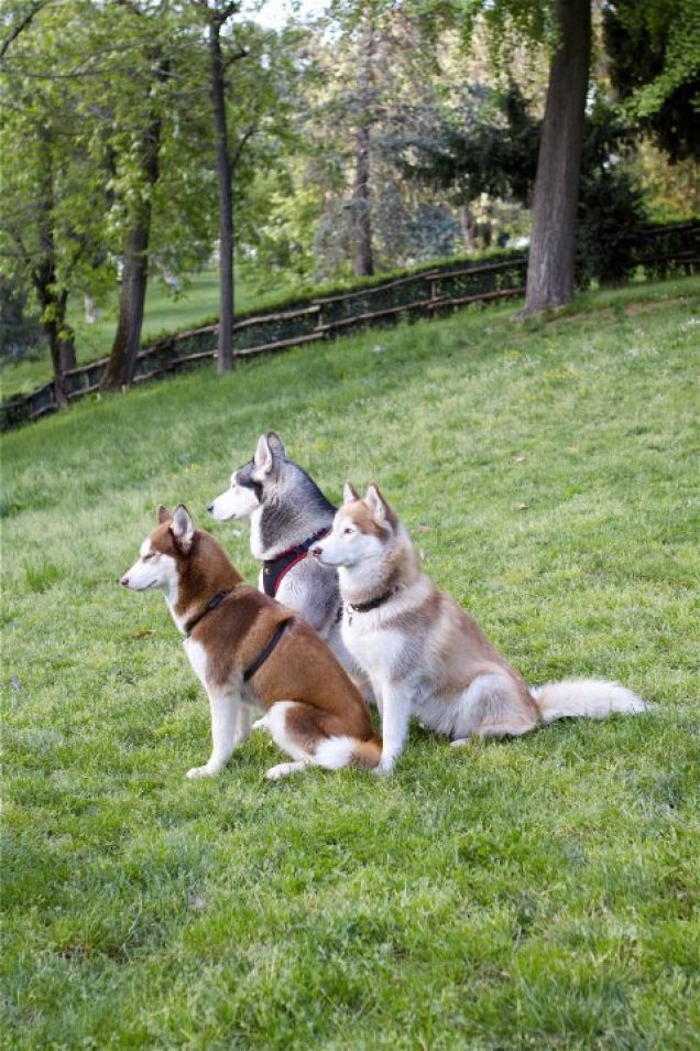 Maya-Cherie-Anouk