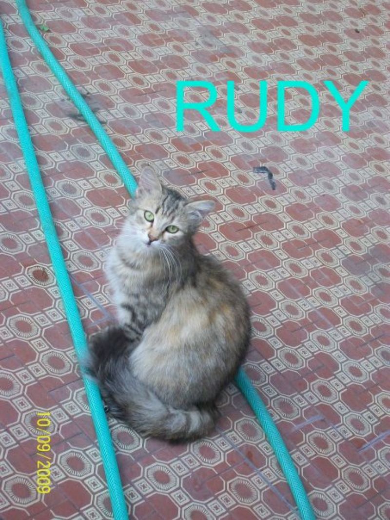 Io invece sono Rudy: mi adottate?