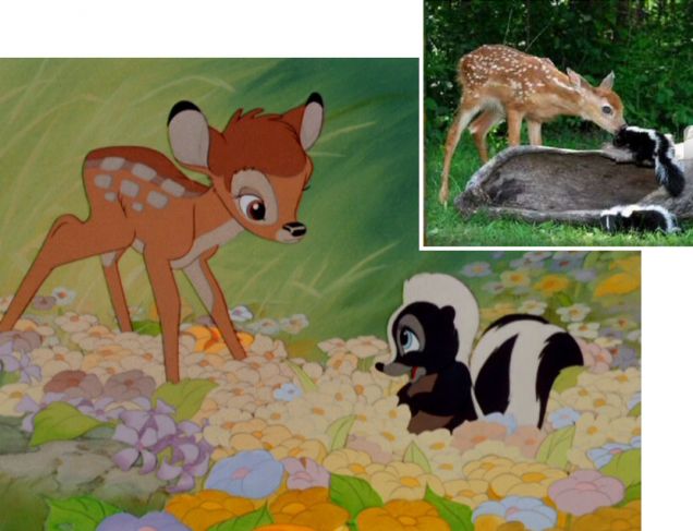 Bambi - Walt Disney
