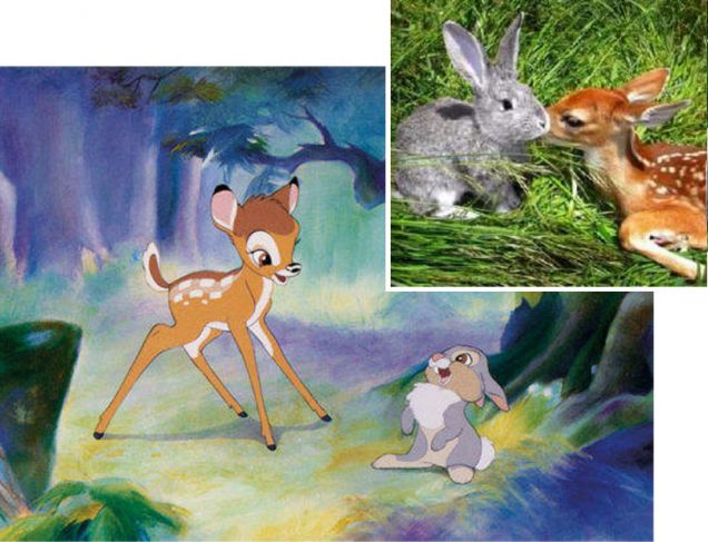 Bambi e Tamburino - Walt Disney