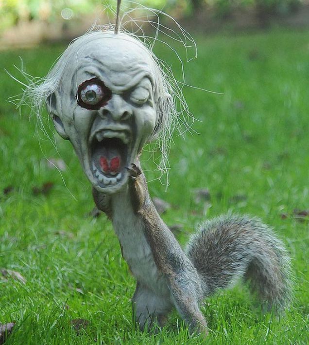 Halloween: lo scoiattolo horror...