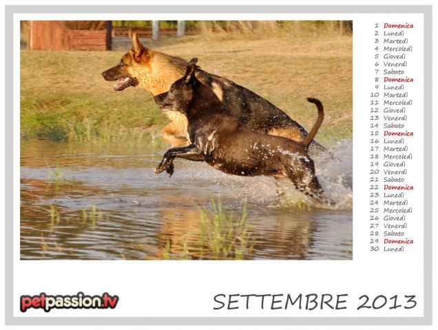 SETTEMBRE - Calendario Pets 2013 di PetPassion