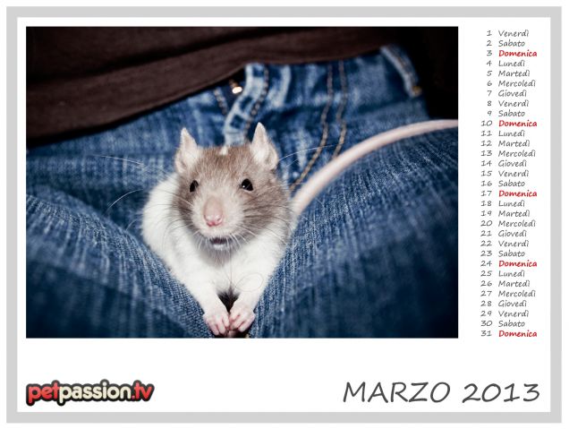 MARZO - Calendario Pets 2013 di PetPassion