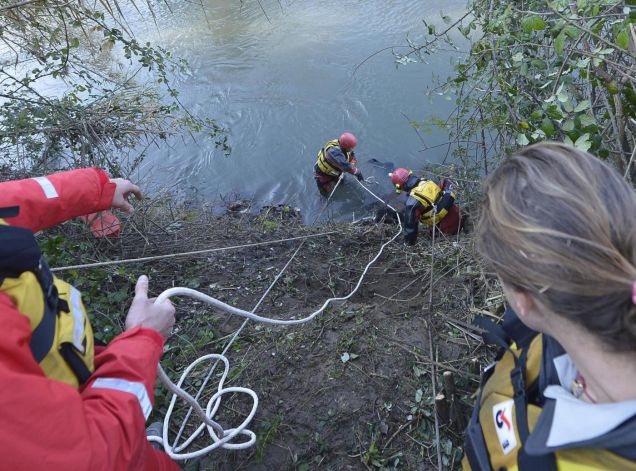 Cicerone, Il cavallo salvato nel fiume Aniene