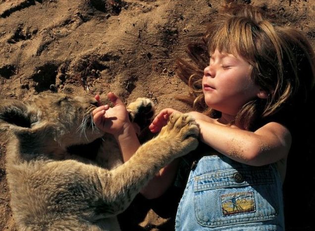 La bambina gioca con un cucciolo di leone in Sud Africa