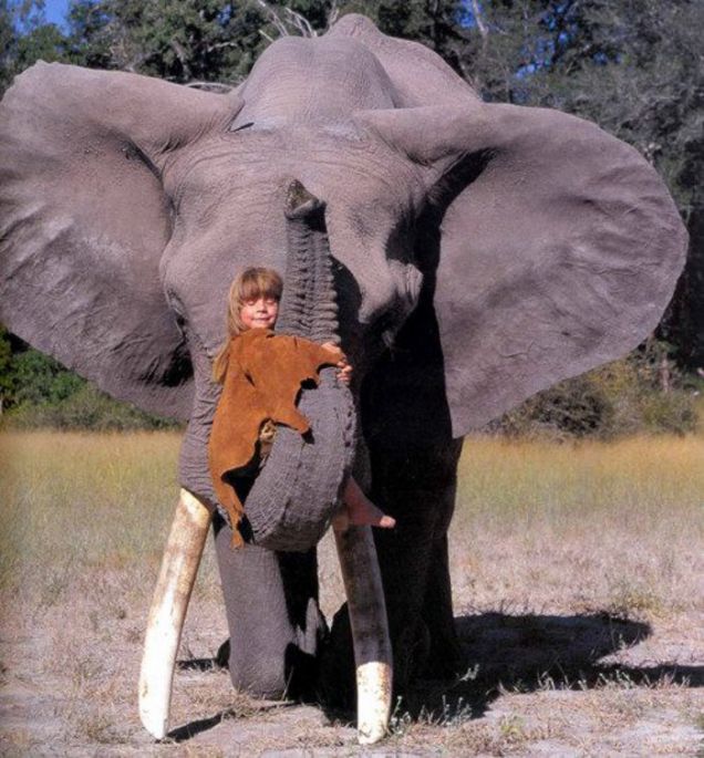 Tippi Degré con un elefante africano