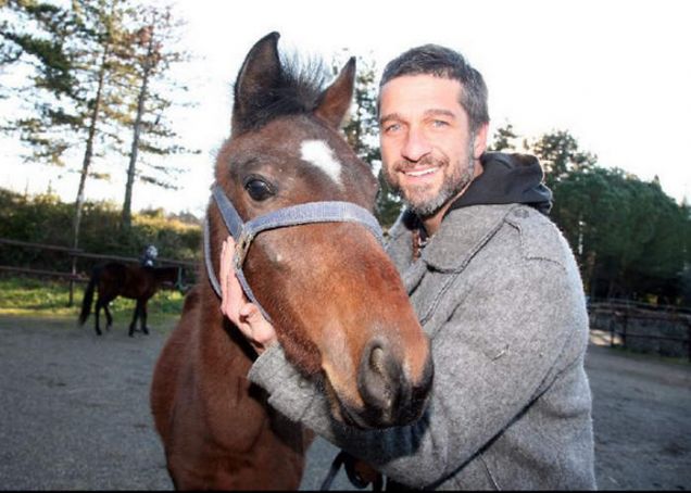 Striscia la Notizia: Edoardo Stoppa con uno dei cavalli liberati