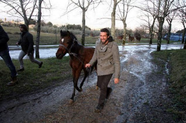 Striscia la Notizia: Edoardo Stoppa con uno dei cavalli liberati