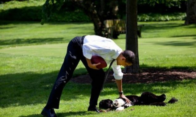 Il presidente americano Obama con il suo cane