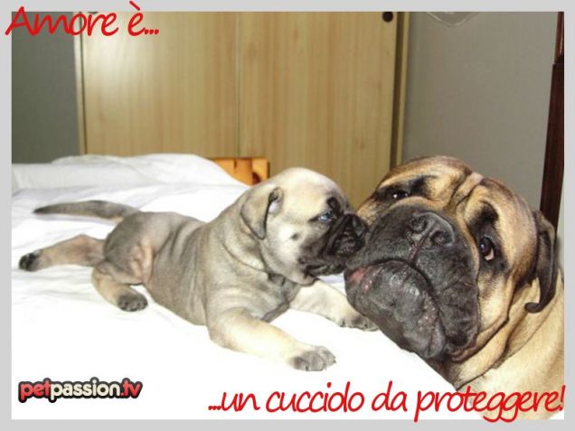 Cartolina S. Valentino: Amore è un cucciolo da proteggere!