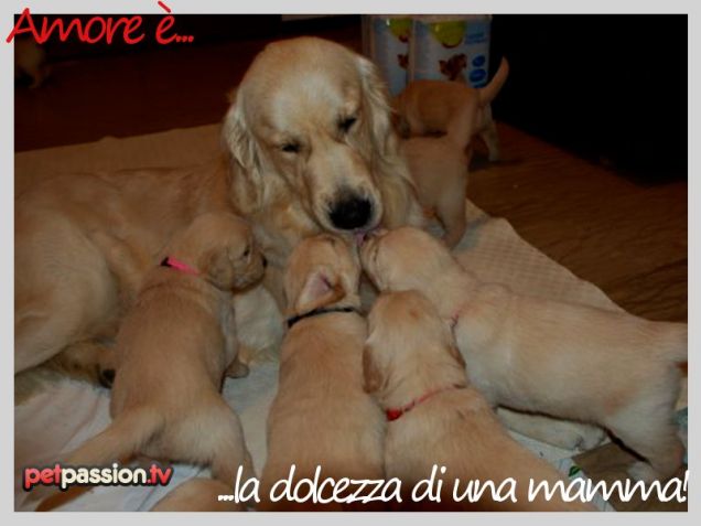 Cartolina S. Valentino: Amore è la dolcezza di una mamma!