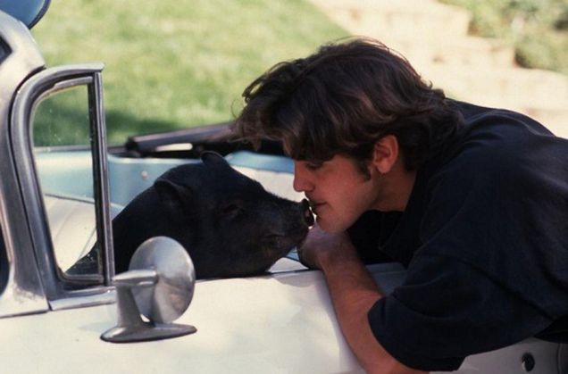 George Clooney con il suo maialino nero Max