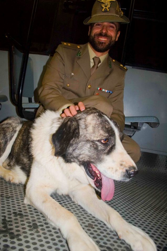 Il cane Bruno col soldato che lo ha adottato