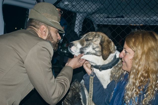 Il cane Bruno con il soldato che lo ha adottato