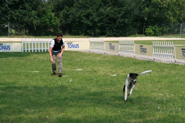 Cane gioca con frisbee al Tonus Disc Dog