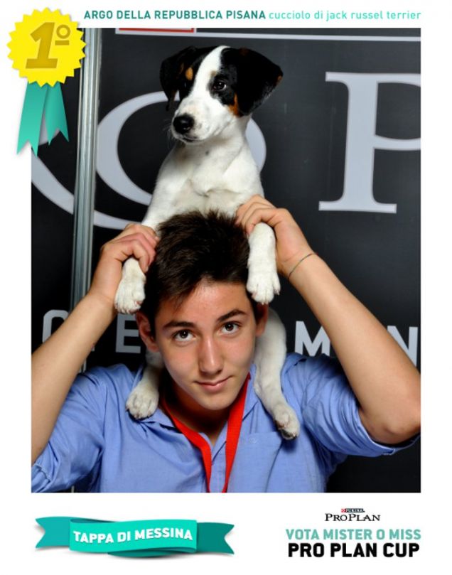 Cartoline dei cuccioli - PRO PLAN Cup Messina