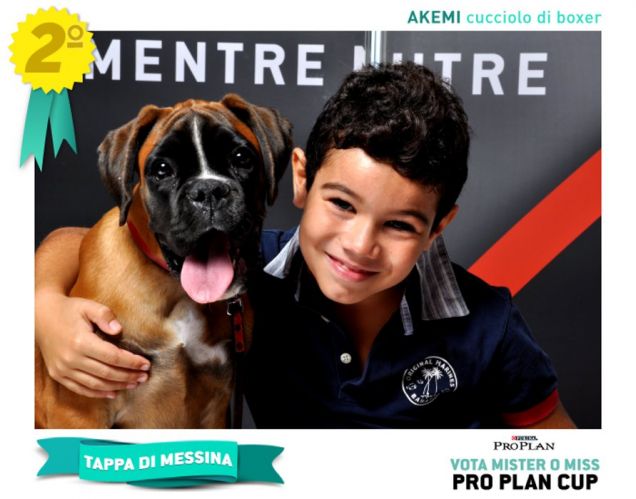 Cartoline dei cuccioli - PRO PLAN Cup Messina
