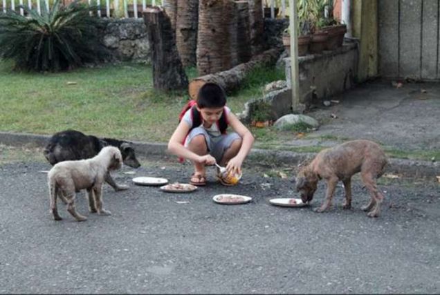 Bimbo sfama cani randagi nei quartieri poveri di Manila