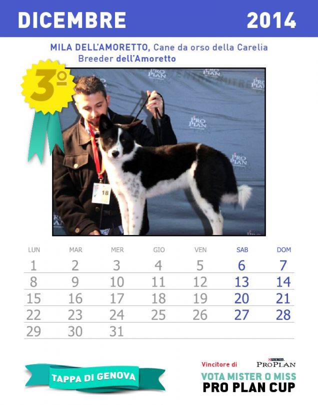 Calendario dei cuccioli - mese dicembre 2014